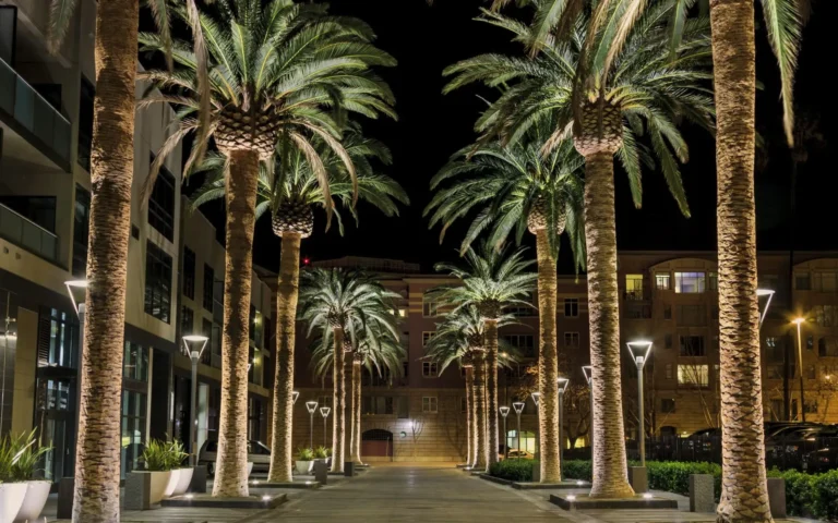 Silicon Valley property real estate agents Area guide san jose.