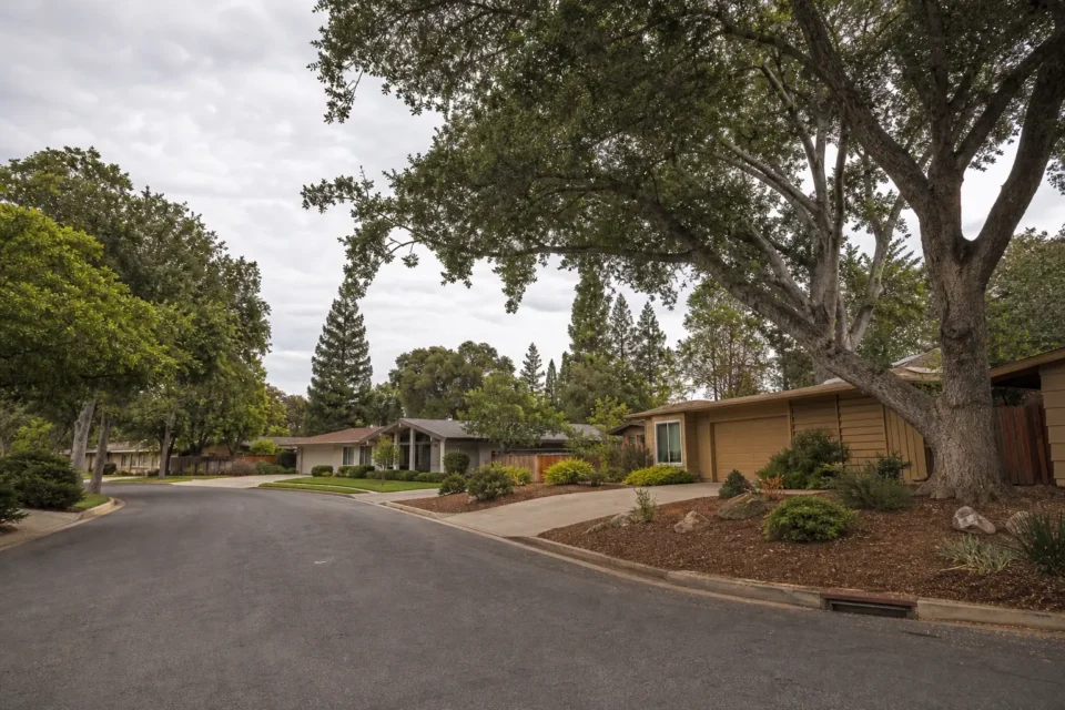 Single-story homes along a tree-lined residential street in Cambrian, San Jose